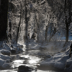 810 2874