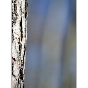 HerbstPZ1 8173 00038