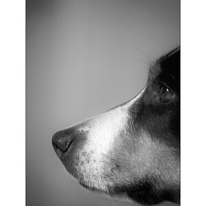 InnenDSC 0049