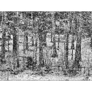 InnenDSC 0071