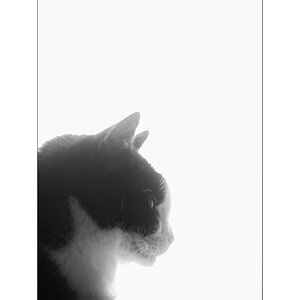 InnenDSC 0077