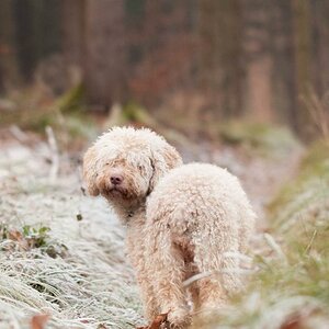 Spaziergang