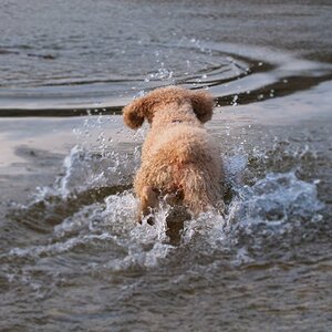 baden im Herbst