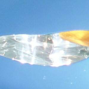 P  2 3 3 1 3