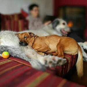 IMG 20170108 131147 1c