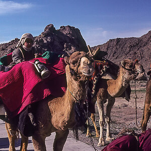 IMG 027