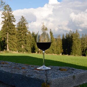 t jura 0343