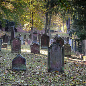 Herbstruhe (1 von 1)