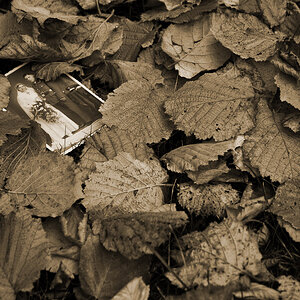Herzenssache 02