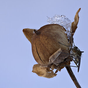 Wir hatten Sonnenschein -4° und Windstille, wer glaubt, das sind die besten Voraussetzungen,
um ein Stack mit einer Fliege zu machen, der hat sich gei