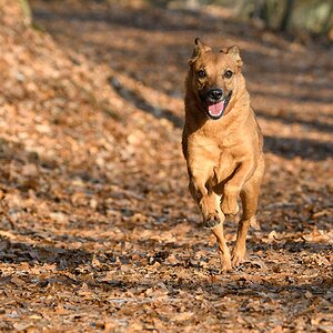 H001191c