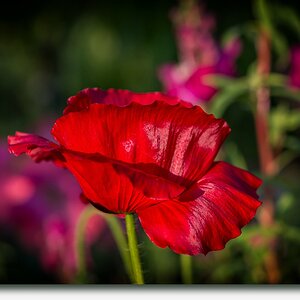 20160609 N72 3861nf1