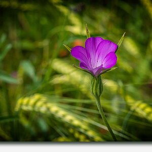 20160609 N72 4091NF.psd