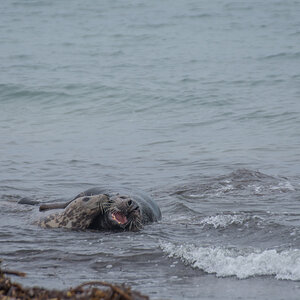 [No title]