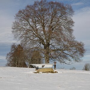 t jura 0084