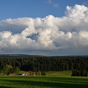 t jura 0354