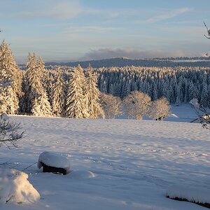 t jura 0404