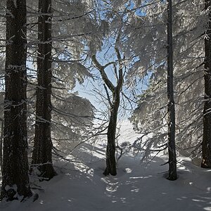 Schneelandschaft