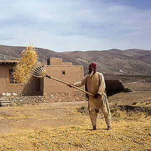 IMG 062