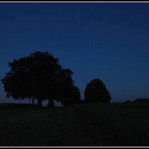 Birlig