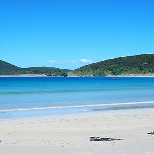 Paradies
