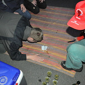 taufeelmar1