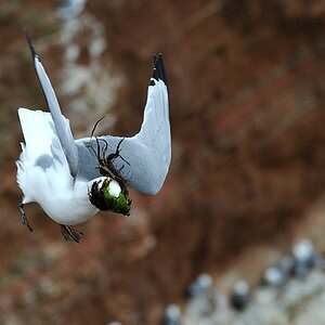 ....Blindflug....