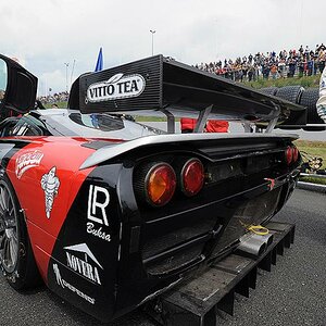 FIA GT 2009
Motorsport Arena Oschersleben
Vorstart /