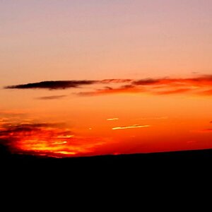 flickr