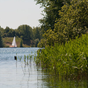 Sommer am Kulkwitzer See bei Leipzig