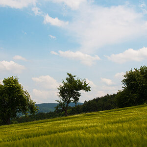 Im Spessart