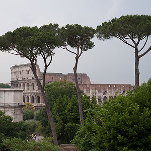 Kolosseum vom Forum Romanum aus gesehen