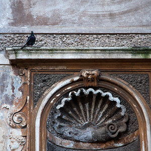 Im Forum Romanum