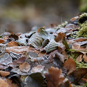 H000354c