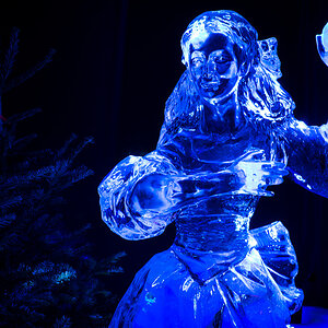 Cold as Ice 4416