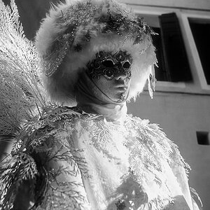 Geheimnisvolle Maske Carnevale 2015