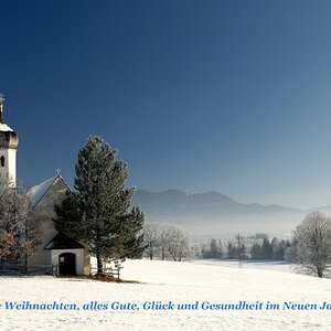 frohe weihnachten