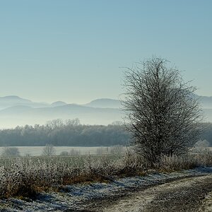 DSC 0382a