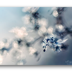 Winter-Color