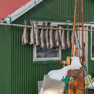 2017 Lofoten Reisebericht 33