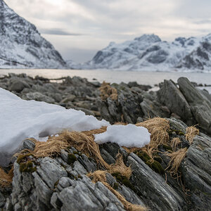 2017 Lofoten Reisebericht 38