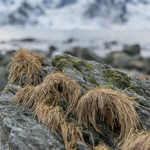 2017 Lofoten Reisebericht 40