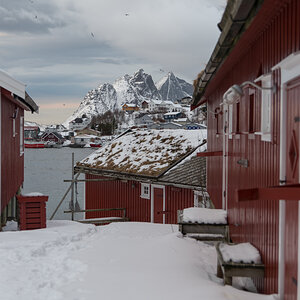 2017 Lofoten Reisebericht 59