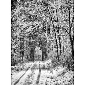 BildPZ1 9327