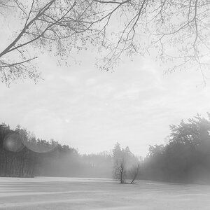 Eisweiher Nürnberg Fischbach 2