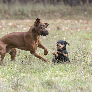 DSC2787