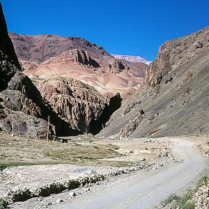 IMG 095
