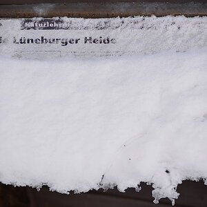 Zugeschneit