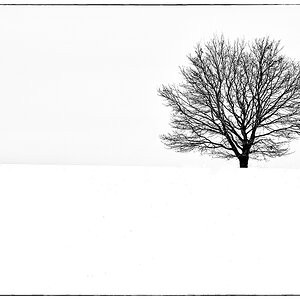 Schneeacker
