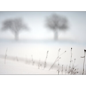 SchneePZ1 9436 00001